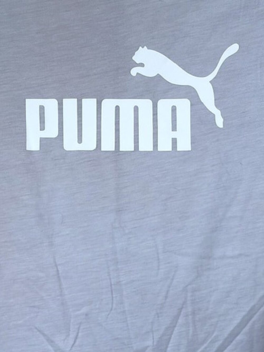 Puma - Picture 3 of 4